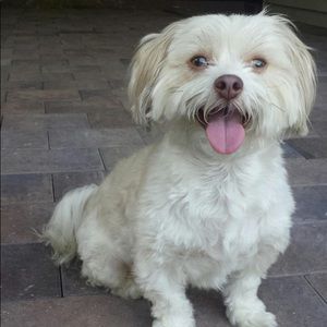 Meet your Posher, Kay